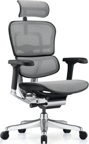 Офисное кресло ART Ergohuman Elite 2 BL Grey