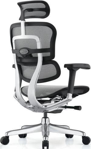 Fotoliu de birou ART Ergohuman Elite 2 BL Grey