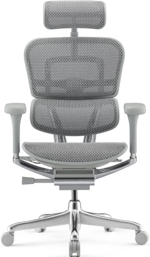 Офисное кресло ART Ergohuman Elite 2 Grey