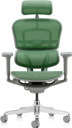 Fotoliu de birou ART Ergohuman Ultra Green