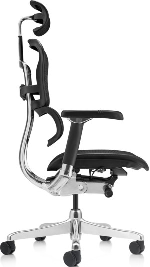 Fotoliu de birou ART Ergohuman Luxury 2 Black