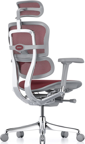 Fotoliu de birou ART Ergohuman Elite 2 Dark Red