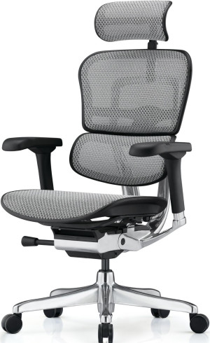 Fotoliu de birou ART Ergohuman Elite 2 BL Grey