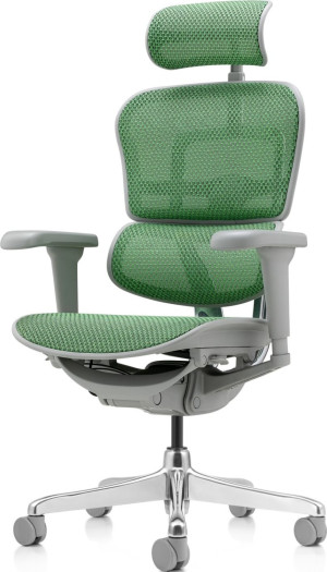 Fotoliu de birou ART Ergohuman Ultra Green