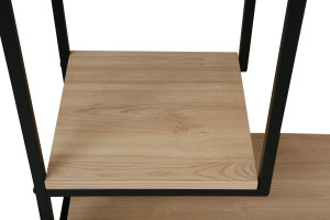 Raft DP Aries Plus 