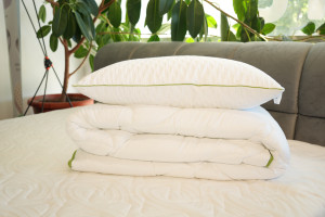 Set Plapuma + 1 pernă Welpy Aloe Vera 145 x 210 cm 