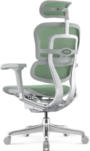 Fotoliu de birou ART Ergohuman Elite 2 Green