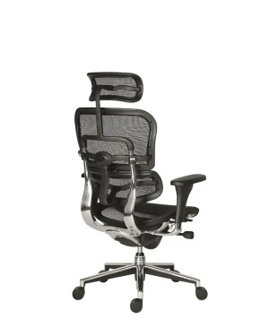 Fotoliu directorial Ergohuman Black