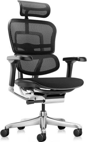 Fotoliu de birou ART Ergohuman Elite 2 Mesh 