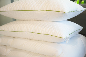 Set Plapuma + 2 perne Welpy Aloe Vera 200 x 220 cm 