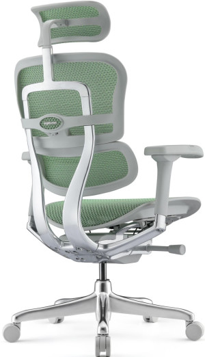 Fotoliu de birou ART Ergohuman Elite 2 Green