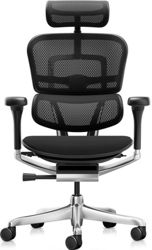 Fotoliu de birou ART Ergohuman Elite 2 Mesh 