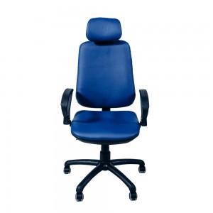 Fotoliu de birou Magnus Regbi Blue