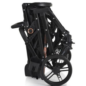 Cărucior 2 în 1 transformabil Moni Raffaelo Black