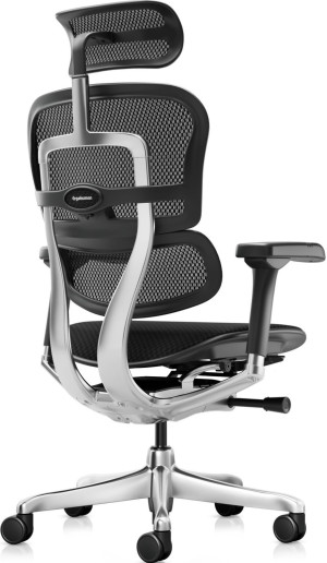Fotoliu de birou ART Ergohuman Elite 2 Mesh 