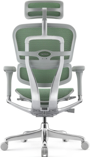 Fotoliu de birou ART Ergohuman Elite 2 Green