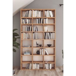 Etajeră pentru living Bofigo 15-24 Pine