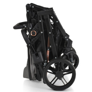 Cărucior 2 în 1 transformabil Moni Raffaelo Grey