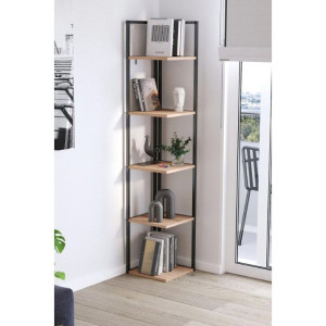 Etajeră pentru living Bofigo 15-18 Pine