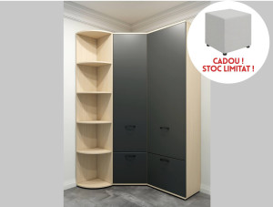 Прихожая AM Ferara (1,3,4) Дуб/Графит