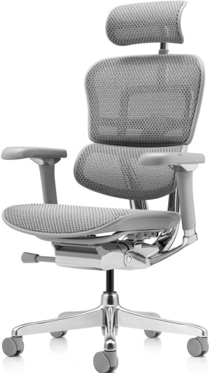 Офисное кресло ART Ergohuman Luxury 2 Grey