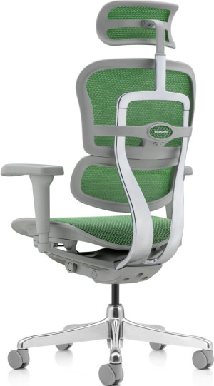Fotoliu de birou ART Ergohuman Ultra Green