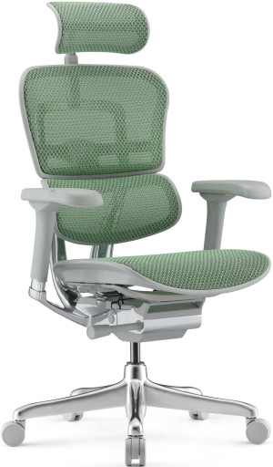 Fotoliu de birou ART Ergohuman Elite 2 Green