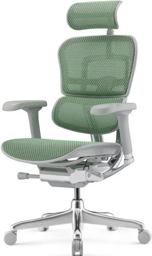 Fotoliu de birou ART Ergohuman Elite 2 Green