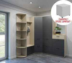 Прихожая AM Ferara (1-5) Дуб/Графит