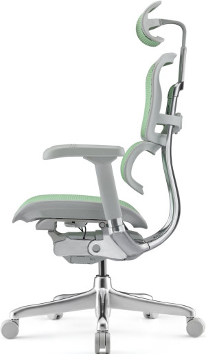 Fotoliu de birou ART Ergohuman Elite 2 Green