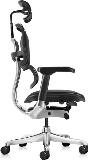 Fotoliu de birou ART Ergohuman Elite 2 Mesh 