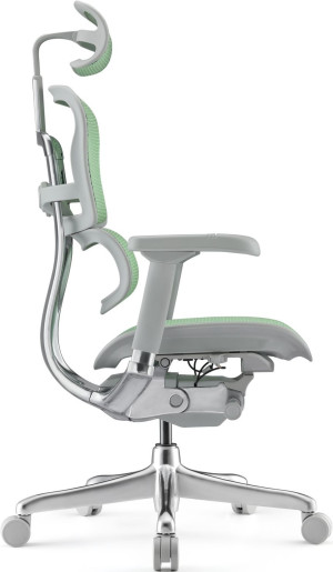 Fotoliu de birou ART Ergohuman Elite 2 Green