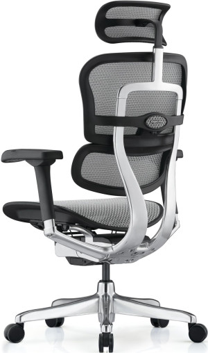 Fotoliu de birou ART Ergohuman Elite 2 BL Grey