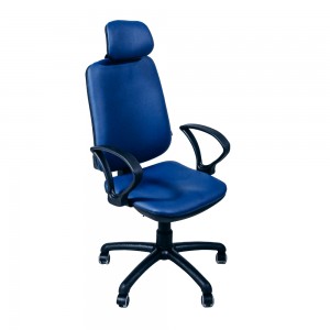 Fotoliu de birou Magnus Regbi Blue