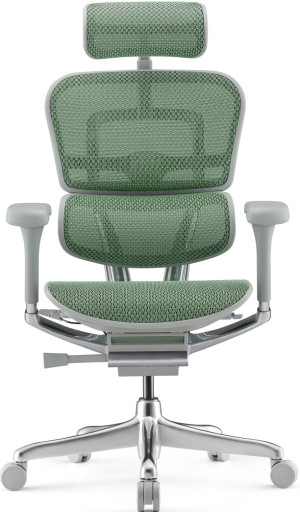 Fotoliu de birou ART Ergohuman Elite 2 Green