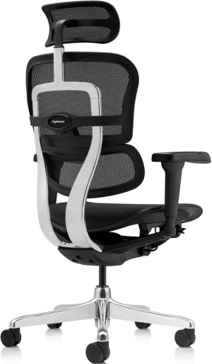 Fotoliu de birou ART Ergohuman Ultra Black