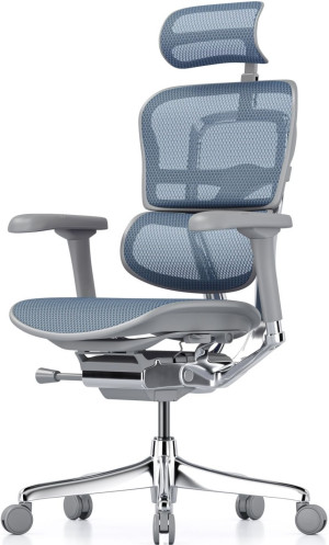 Офисное кресло ART Ergohuman Elite 2 Blue