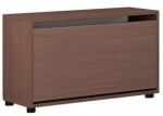 Шкаф для обуви Mobildor Leo 1 дверь 47x80x27 см Brown