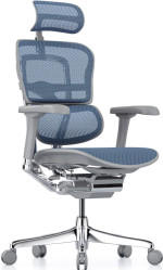 Офисное кресло ART Ergohuman Elite 2 Blue