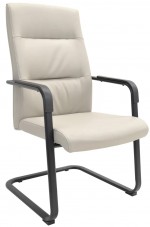 Scaun de birou DP Remo CF Grey