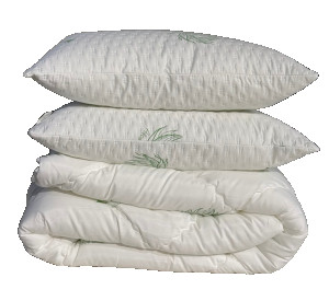 Set Plapuma + 1 pernă Welpy Aloe Vera 145 x 210 cm 