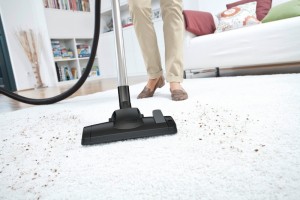 Aspirator Karcher DS 6 
