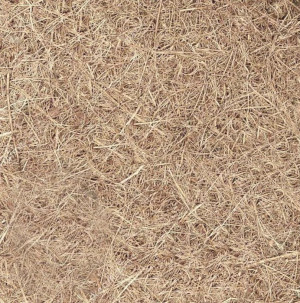 Беспружинный матрас Arlon 90 x 190 см 