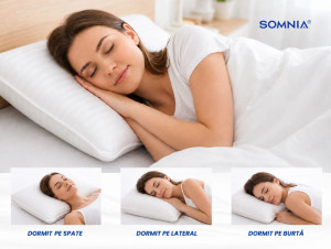 Pernă Somnia Elite Damasc 50 x 70 cm 