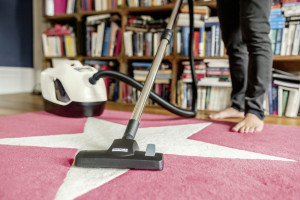 Пылесос Karcher DS 6 